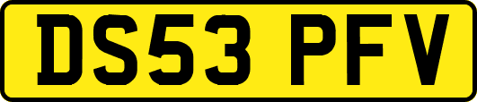DS53PFV