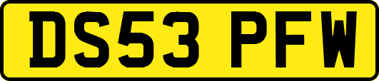 DS53PFW