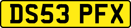 DS53PFX