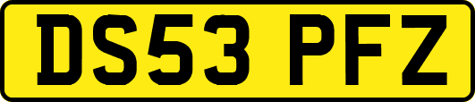 DS53PFZ