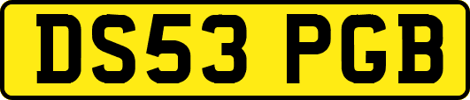 DS53PGB