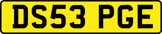 DS53PGE