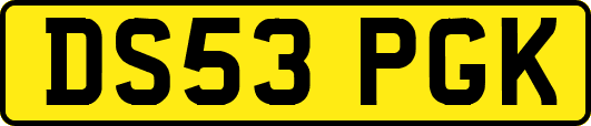 DS53PGK