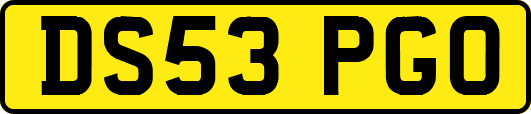 DS53PGO