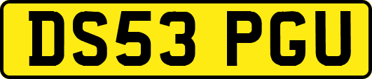 DS53PGU