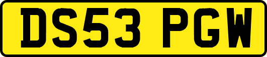 DS53PGW