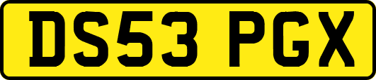 DS53PGX