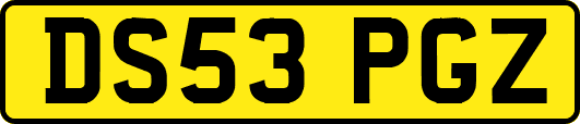 DS53PGZ