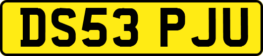DS53PJU