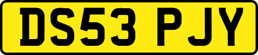 DS53PJY