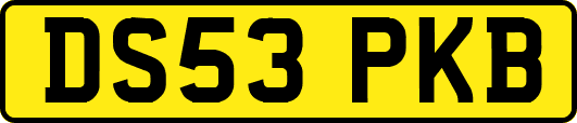 DS53PKB