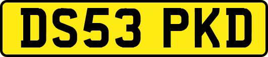 DS53PKD