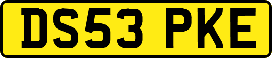 DS53PKE