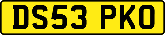 DS53PKO