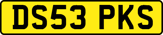DS53PKS