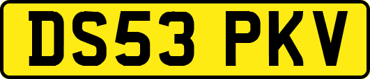 DS53PKV