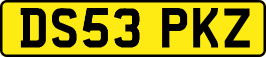 DS53PKZ