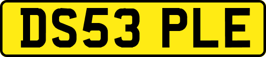 DS53PLE