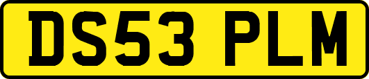DS53PLM