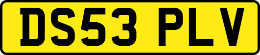 DS53PLV
