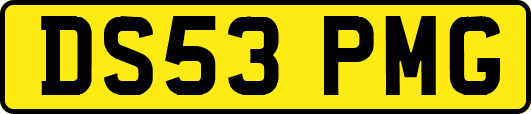 DS53PMG
