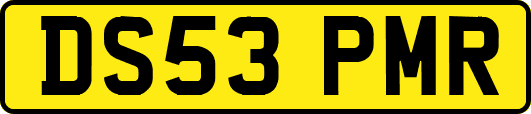 DS53PMR