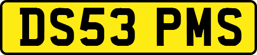 DS53PMS
