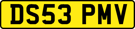 DS53PMV