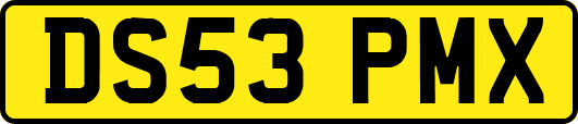 DS53PMX