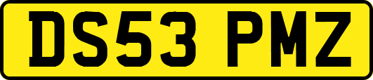 DS53PMZ