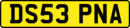 DS53PNA