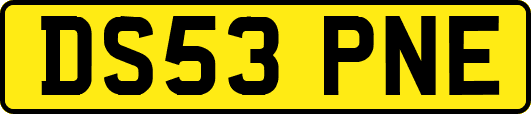 DS53PNE