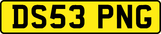 DS53PNG
