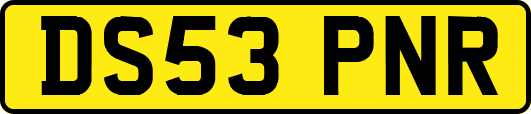 DS53PNR