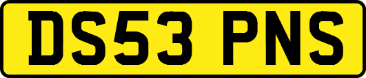 DS53PNS
