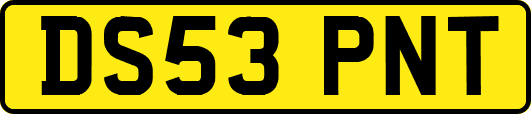 DS53PNT