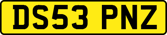 DS53PNZ