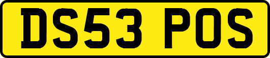 DS53POS