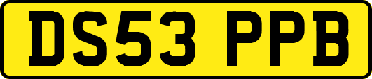 DS53PPB