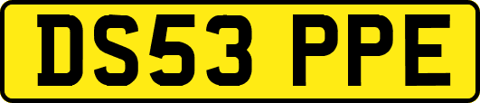 DS53PPE