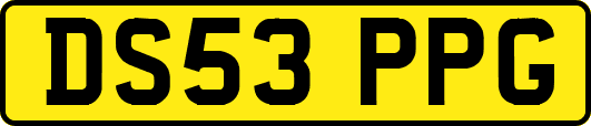 DS53PPG
