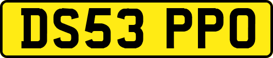 DS53PPO