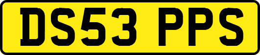 DS53PPS