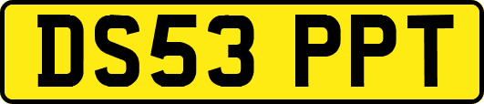 DS53PPT