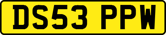 DS53PPW