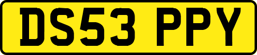 DS53PPY