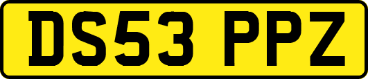 DS53PPZ