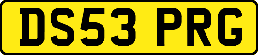 DS53PRG