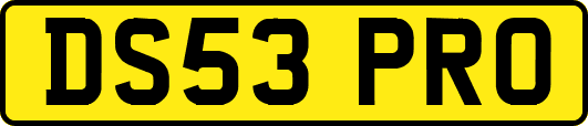 DS53PRO