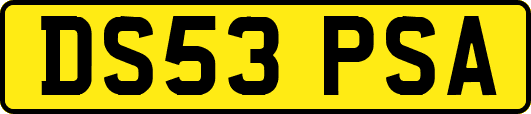 DS53PSA